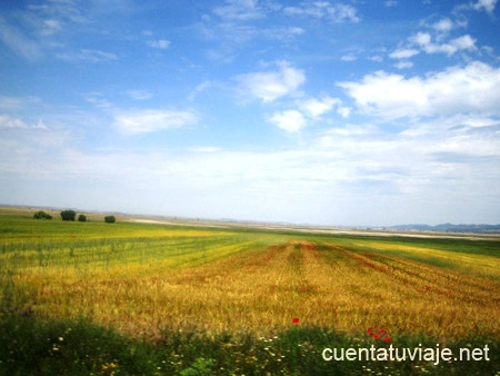 Laguna de Gallocanta, Zaragoza.